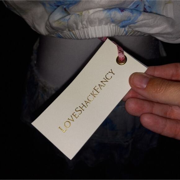 NWT LoveShackFancy "Audrina" Dress in Santa Rosa River Color Size Large - Picture 2 of 5